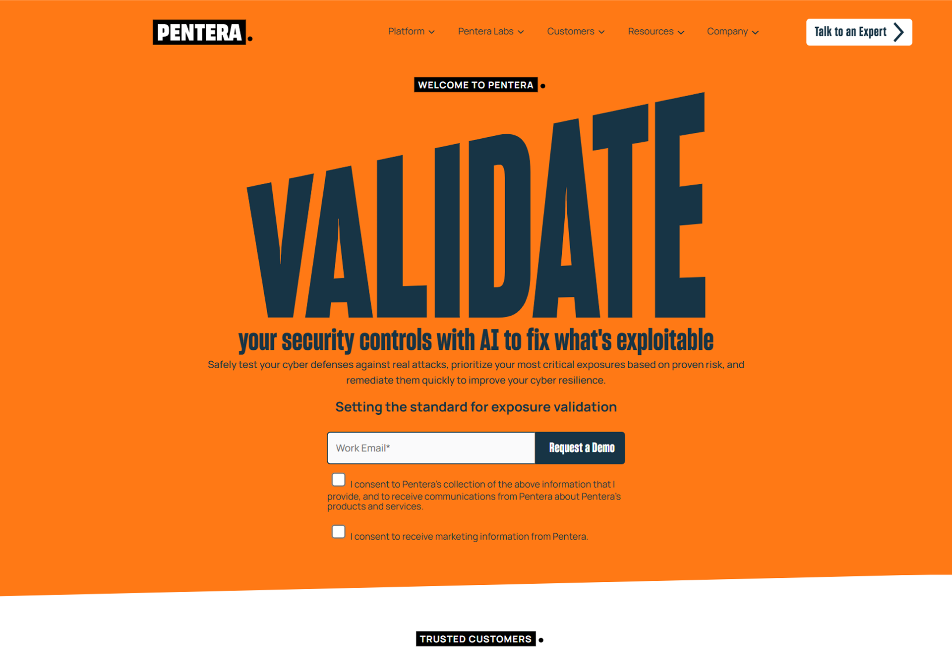 Pentera homepage hero section with Validate your security controls heading